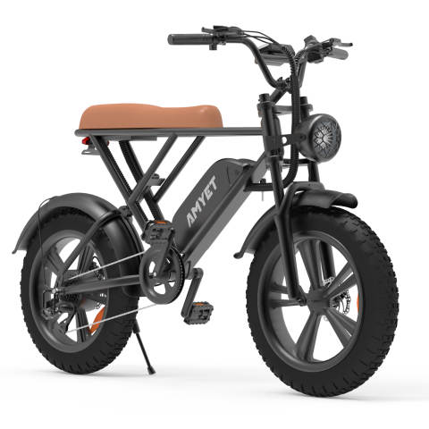 V9-G60 Iwheels Electric Bike with 1000W Motor and 20*4 off Road Tire