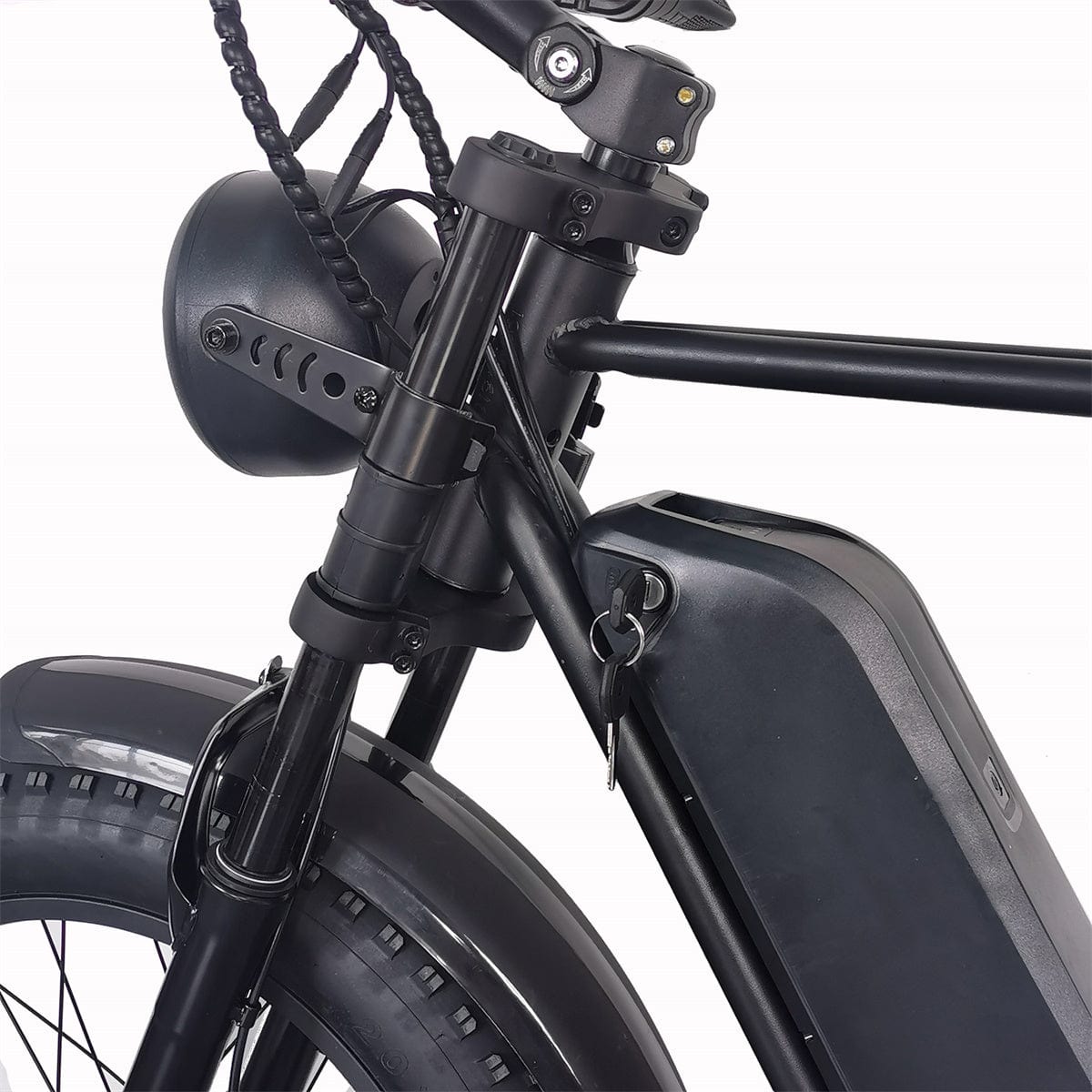 C91 Electric Bike with 1000W Motor, 48V20Ah Battery, Max Speed 34mph and 20 inch Fat Tires