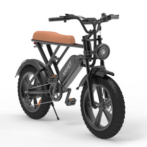 V9-G60 Iwheels Electric Bike with 1000W Motor and 20*4 off Road Tire