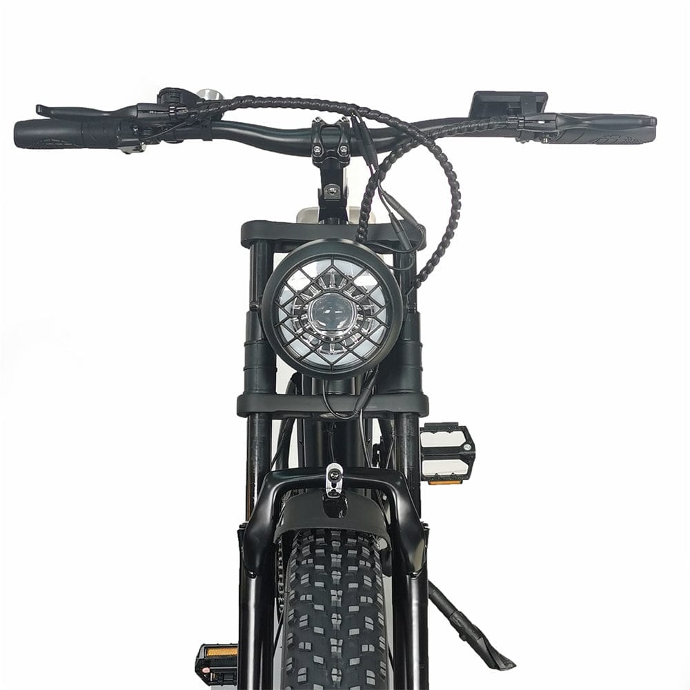 C91 Electric Bike with 1000W Motor, 48V20Ah Battery, Max Speed 34mph and 20 inch Fat Tires