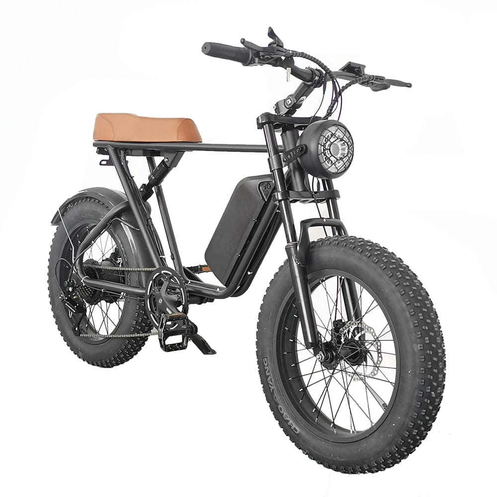 C91 Electric Bike with 1000W Motor, 48V20Ah Battery, Max Speed 34mph and 20 inch Fat Tires