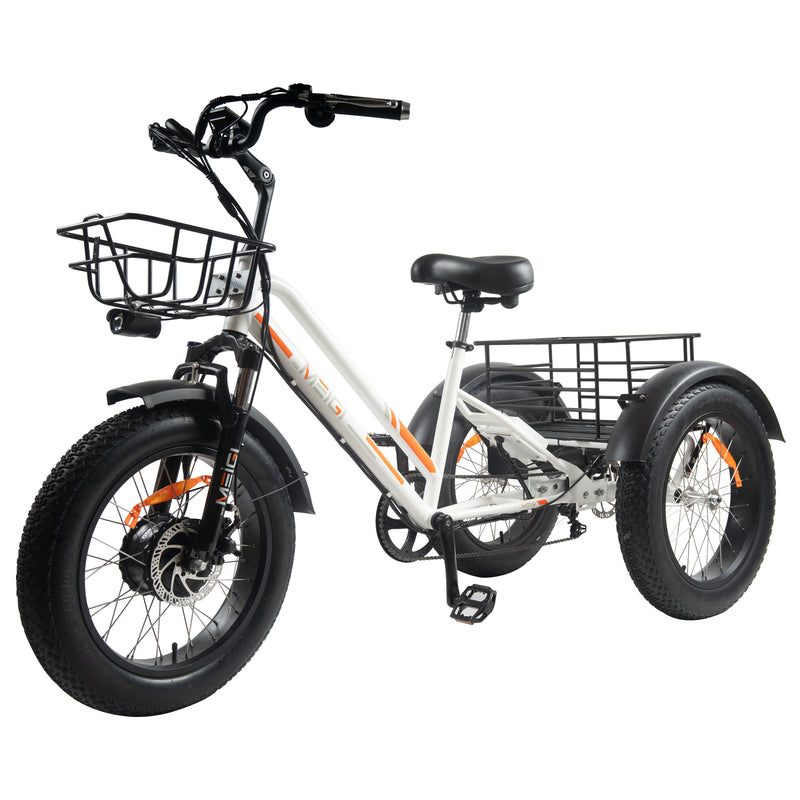 EZREAL MG 1703 Three Wheels 750 Watt Motor Electric Bike Battery 48V 18.2AH Fat Tire Size 20x4.0" Cargo Bag
