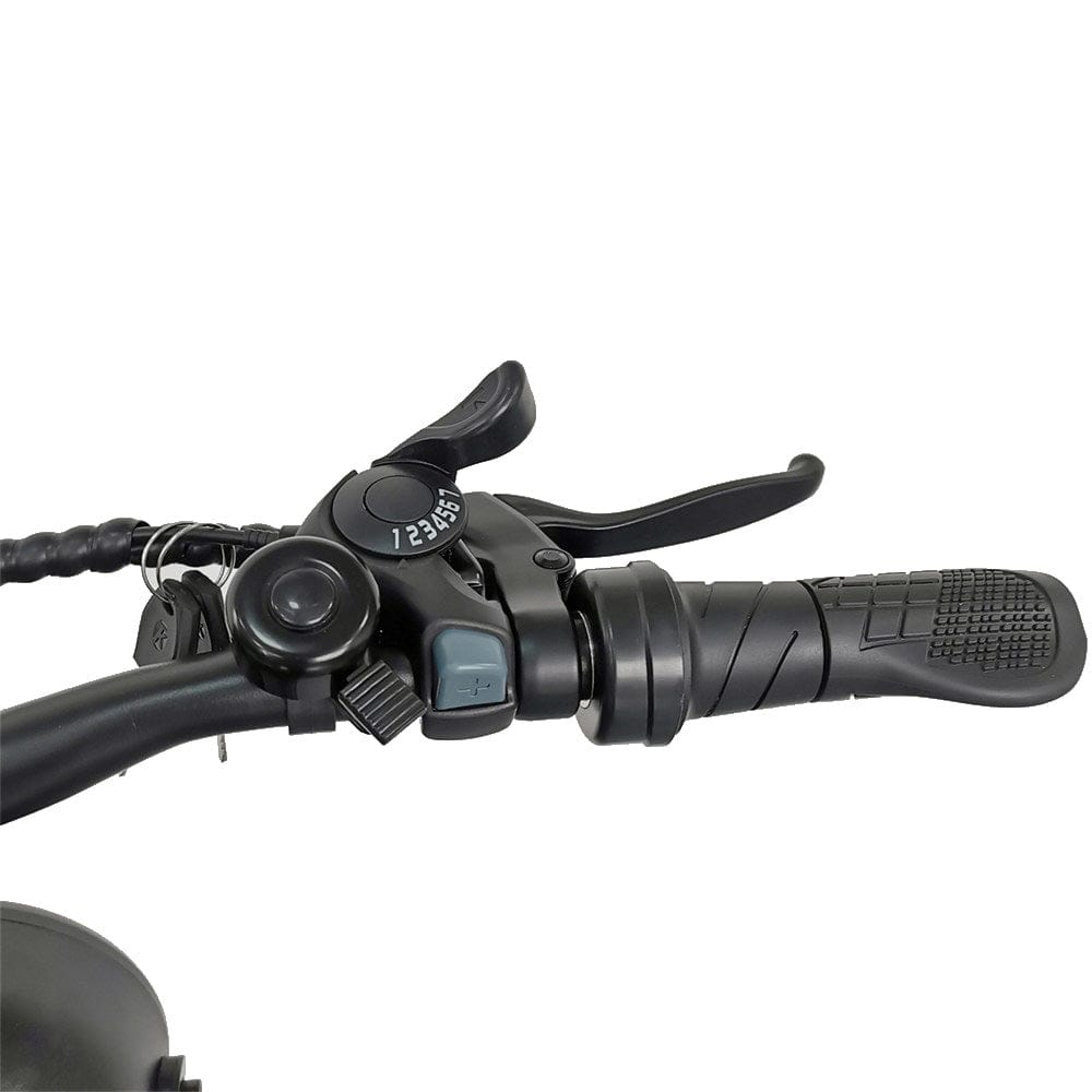 C91  Electric Bike with 1000W Motor, 48V20Ah Battery, Max Speed 34mph and 20 inch Fat Tires