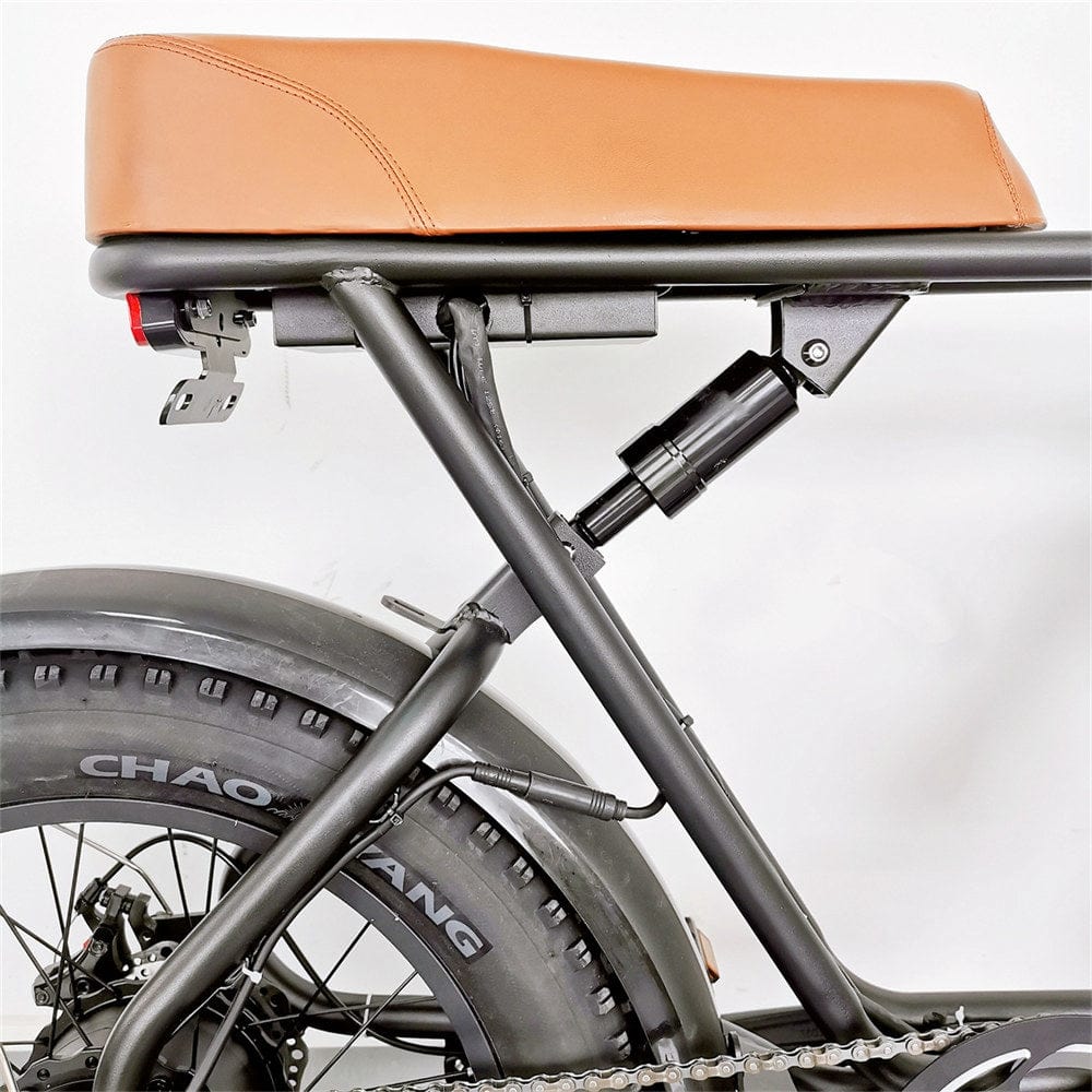 C91  Electric Bike with 1000W Motor, 48V20Ah Battery, Max Speed 34mph and 20 inch Fat Tires