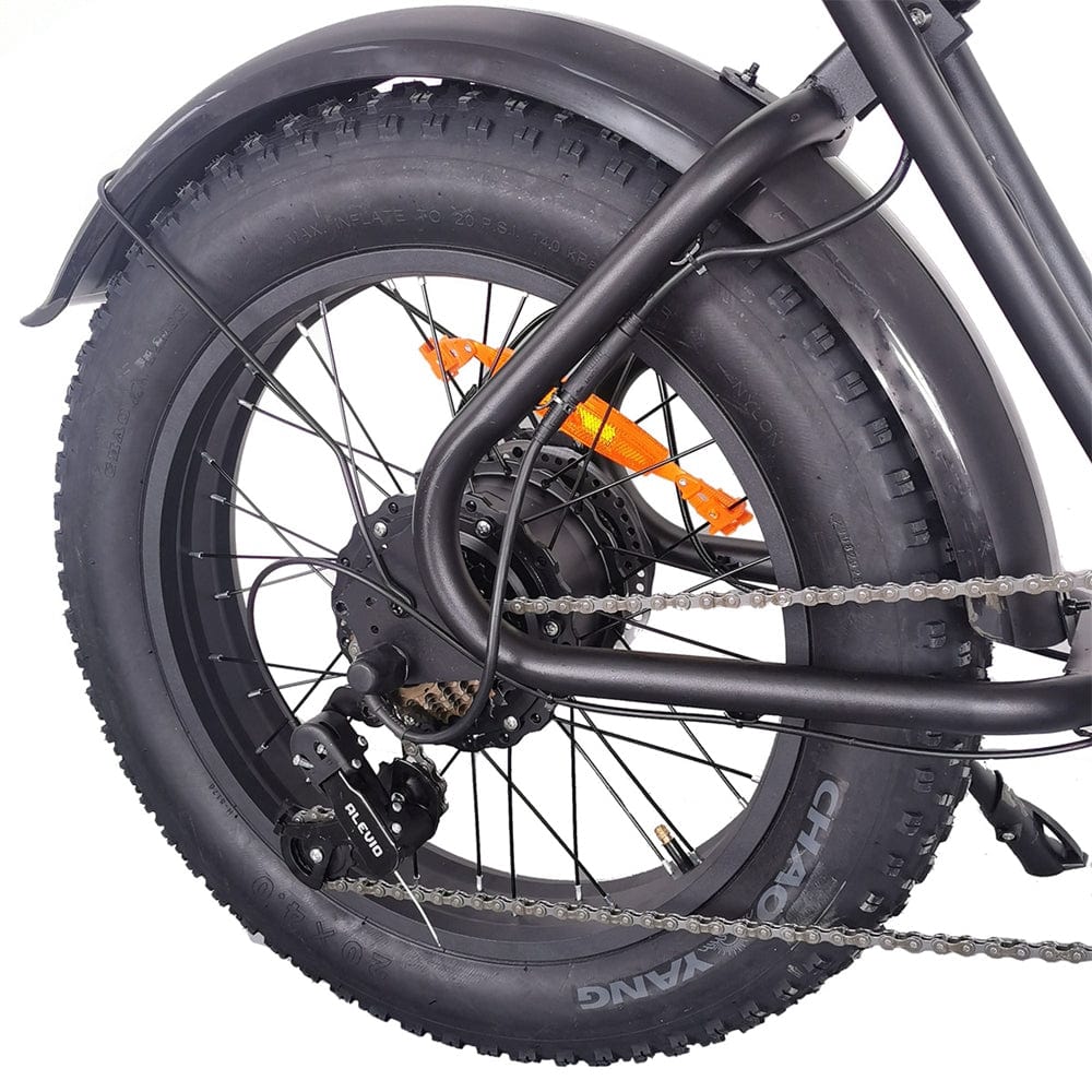 C91  Electric Bike with 1000W Motor, 48V20Ah Battery, Max Speed 34mph and 20 inch Fat Tires