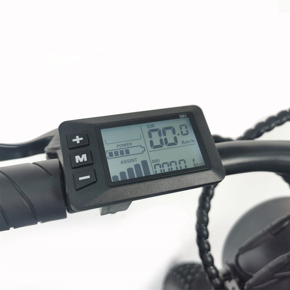 C91  Electric Bike with 1000W Motor, 48V20Ah Battery, Max Speed 34mph and 20 inch Fat Tires
