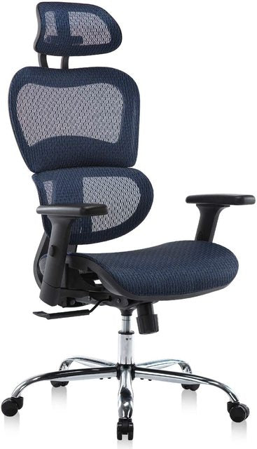 Ergonomics Mesh  Computer Chair With Adjustable Headrest and Armrests